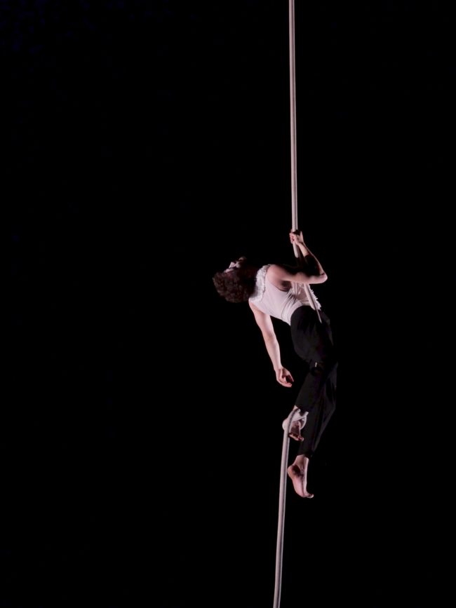 LA NUIT DU CIRQUE