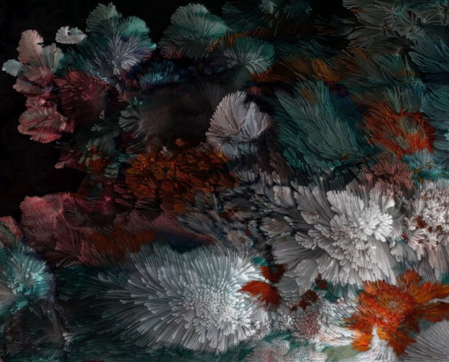 L'ARBRE ET LE LICHEN / STRATÉGIES DU VIVANT