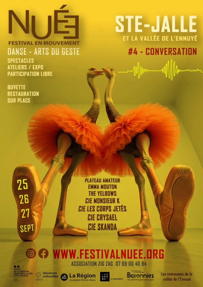 Festival Nuée - 4eme édition.