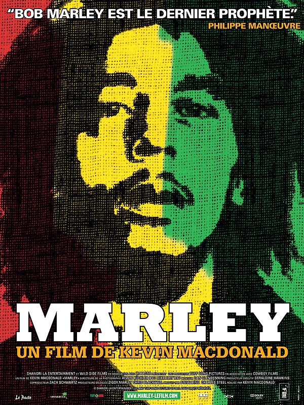 Sur grand écran : l'épopée de Bob Marley et l'histoire du reggae