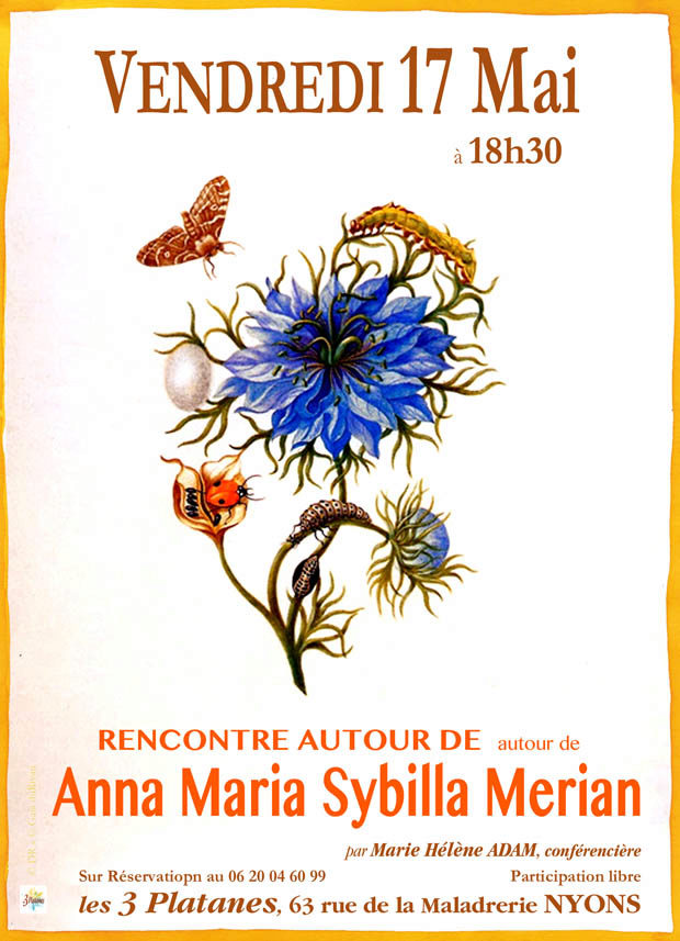 À la rencontre d'Anna Maria Sibylla Merian