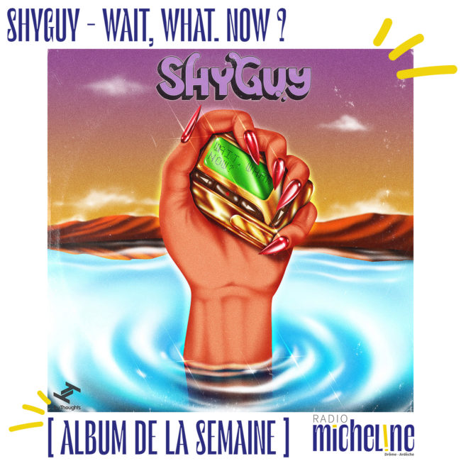 [ALBUM DE LA SEMAINE] ShyGuy - Wait, What, Now ? (Tru Thoughts)