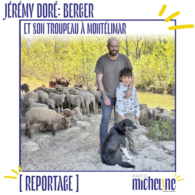 [REPORTAGE] Jérémy Doré, un berger et son troupeau à Montélimar