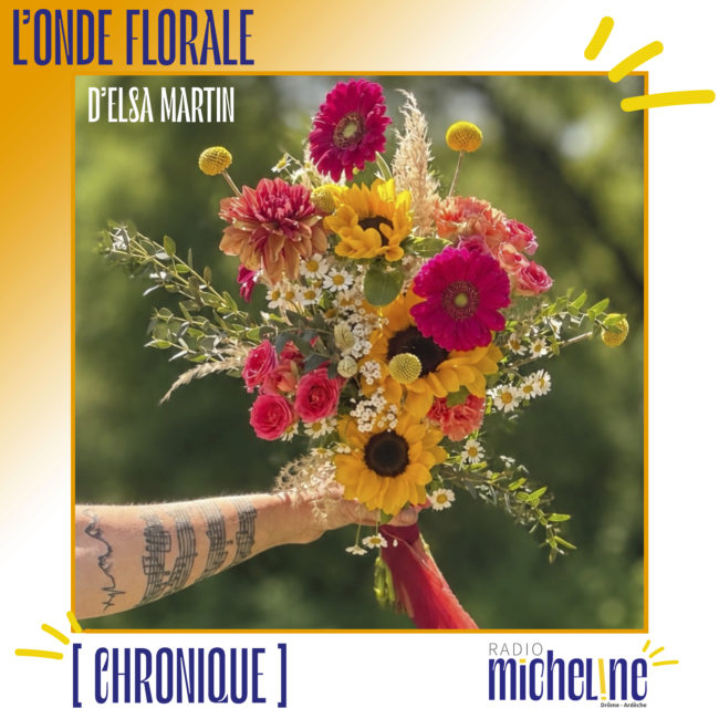 [CHRONIQUE] L'ONDE FLORALE D'ELSA