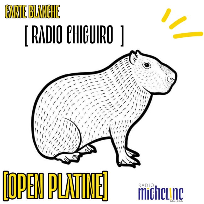 Carte Blanche à Radio Chiguiro - Open Platine.