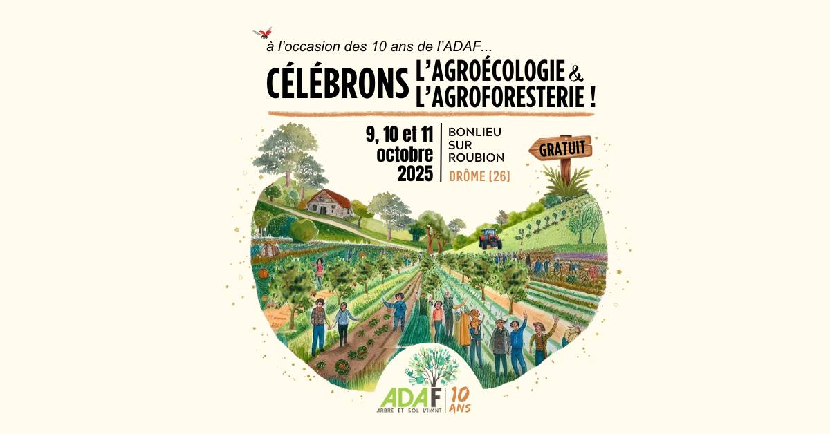 adaf